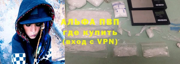 дмт Белокуриха