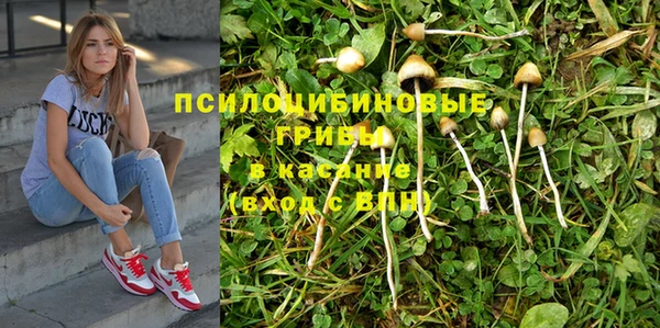 дмт Белокуриха