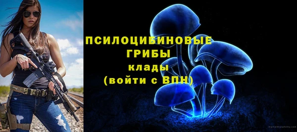COCAINE Богородицк