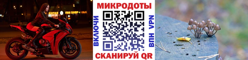 наркота  Усть-Илимск  Галлюциногенные грибы мухоморы 
